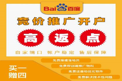 搜索引擎营销（SEM）在移动端的投放案例